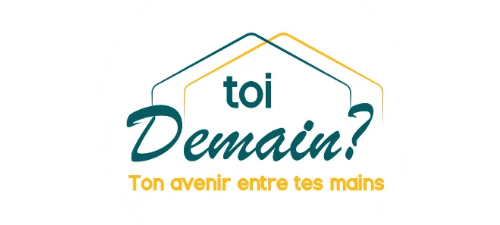 toidemain